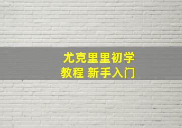 尤克里里初学教程 新手入门